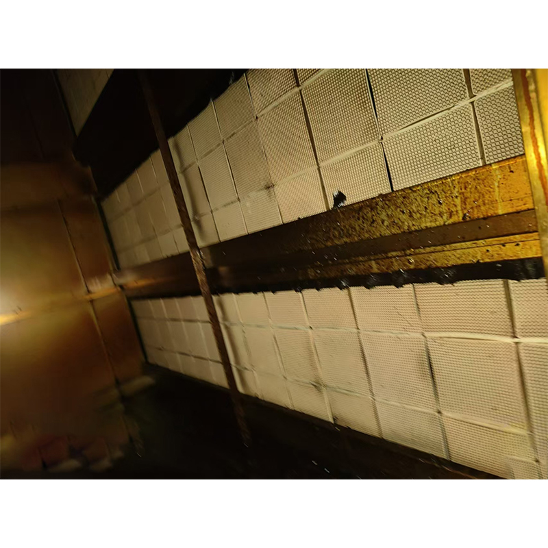 Japanese Deodorization Module